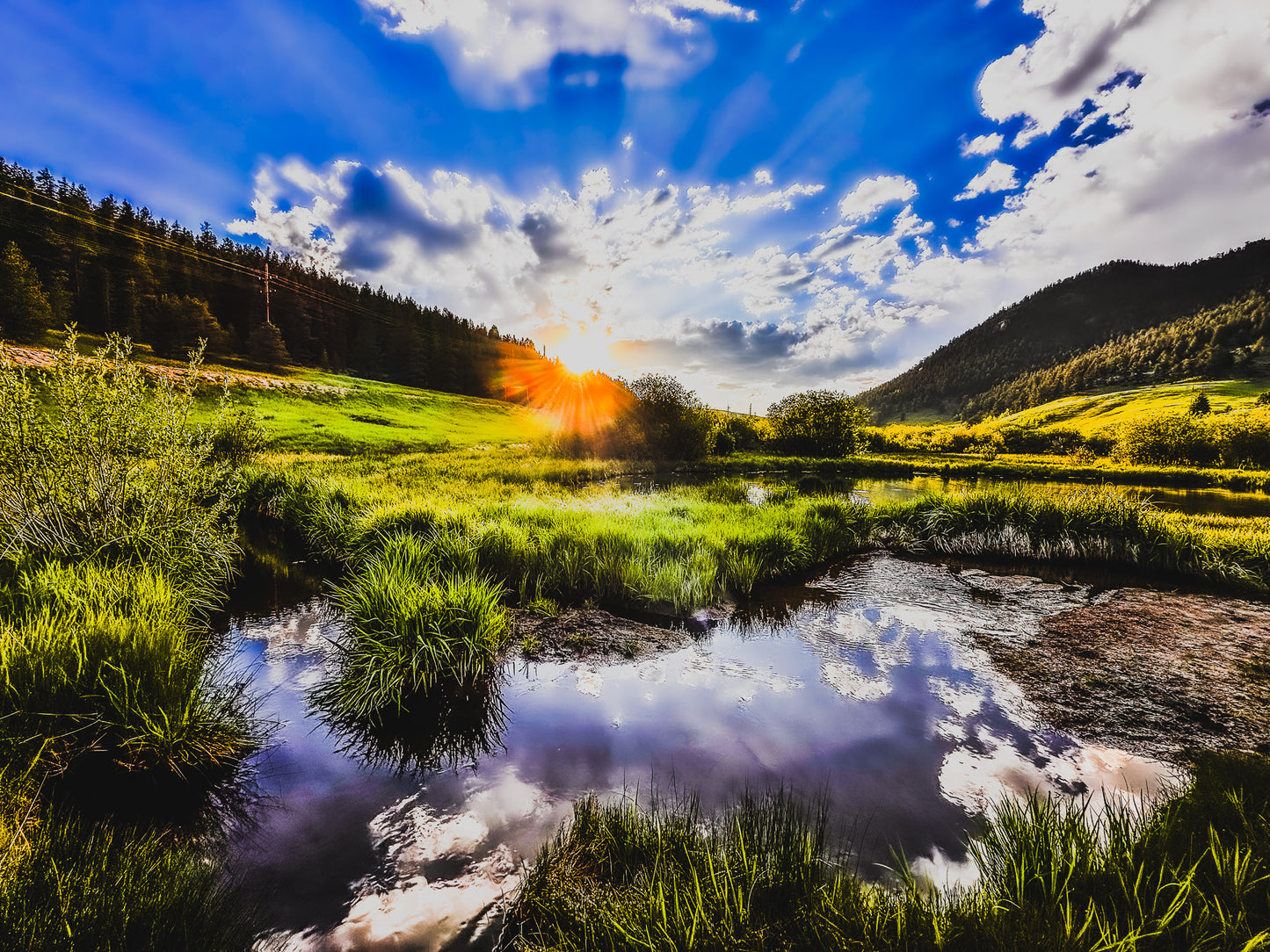 Color Sunny Pond