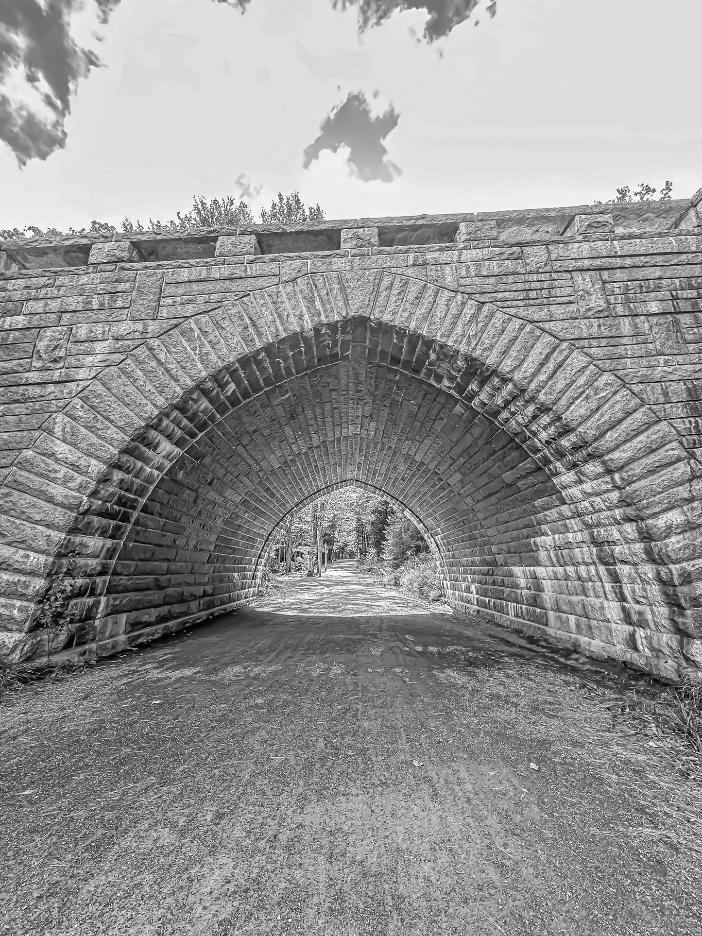 Black & White Acadia Bridge