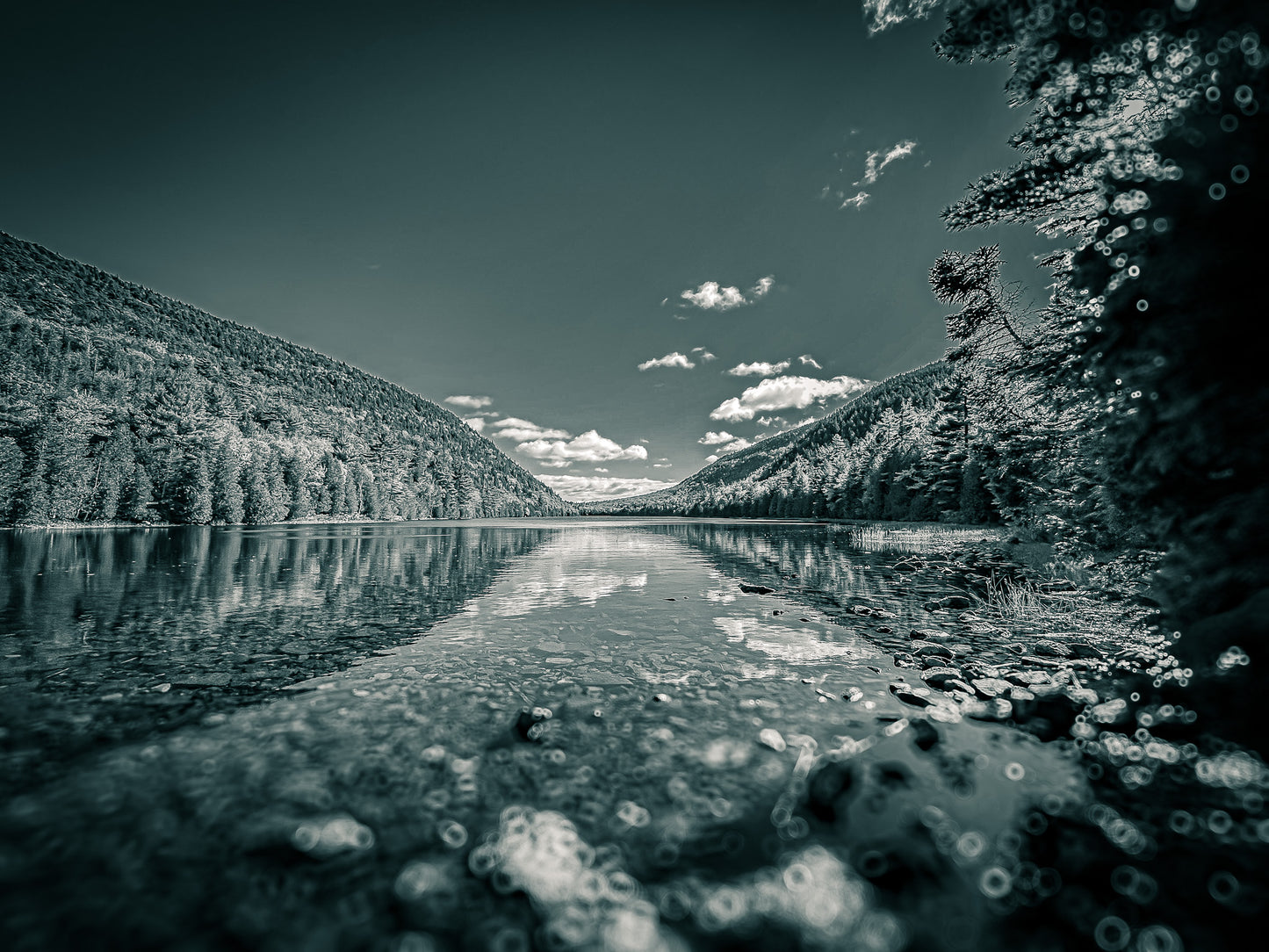 Black & White Lake Path
