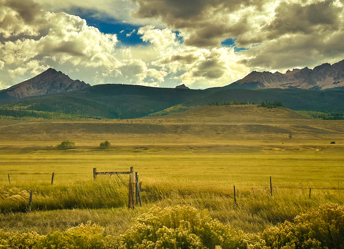 Color Grassy Mountain Field