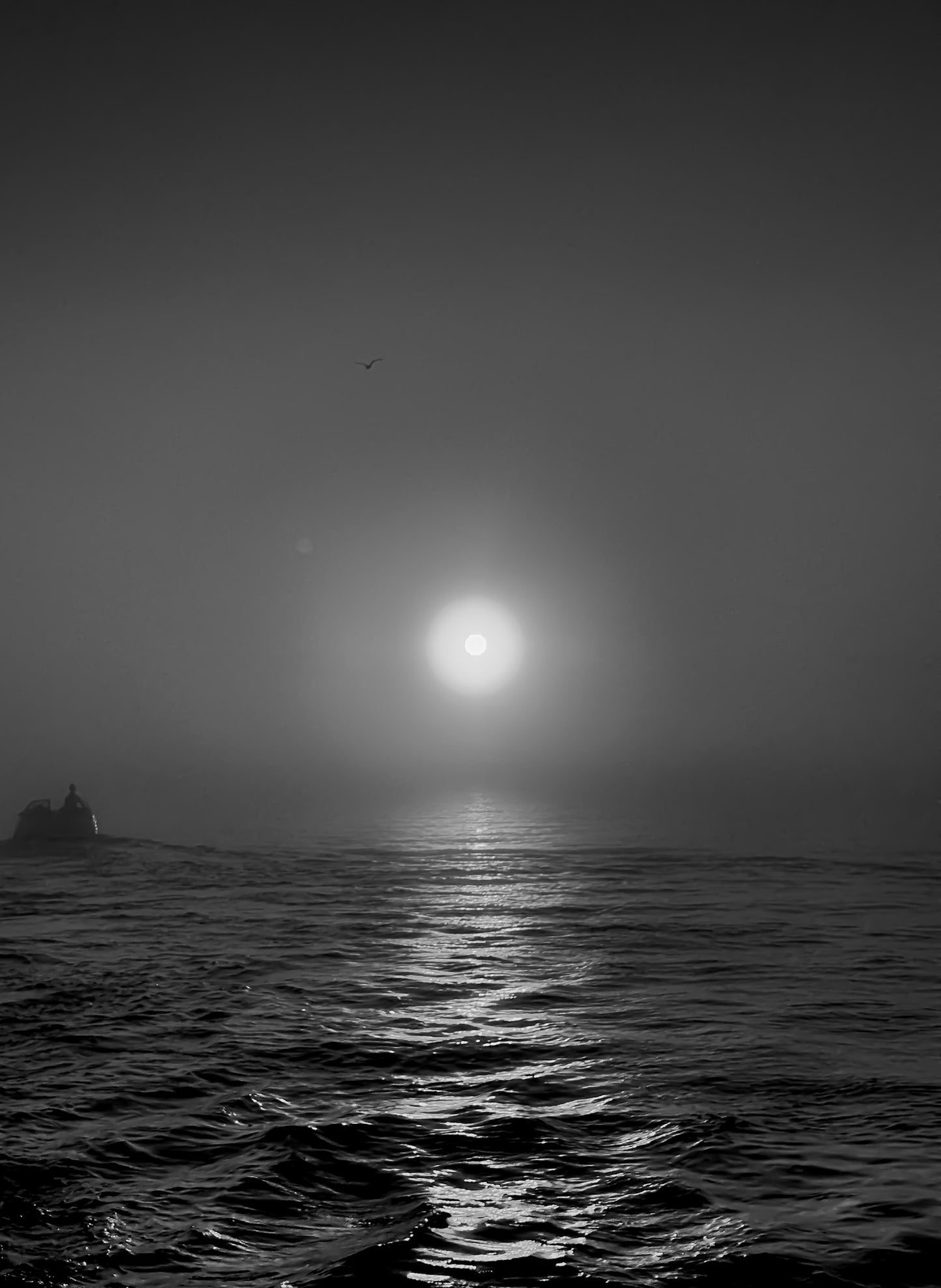 Black & White Hazy Sunset