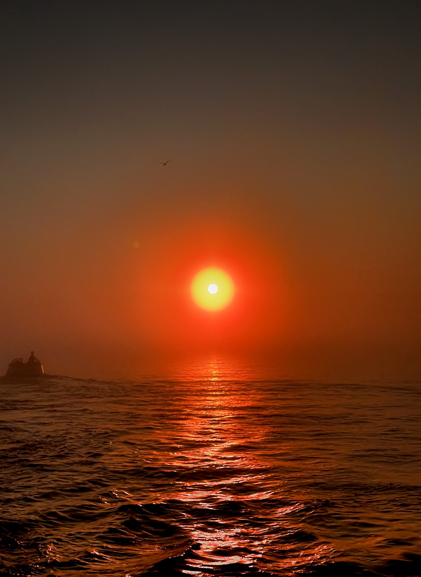 Color Hazy Sunset