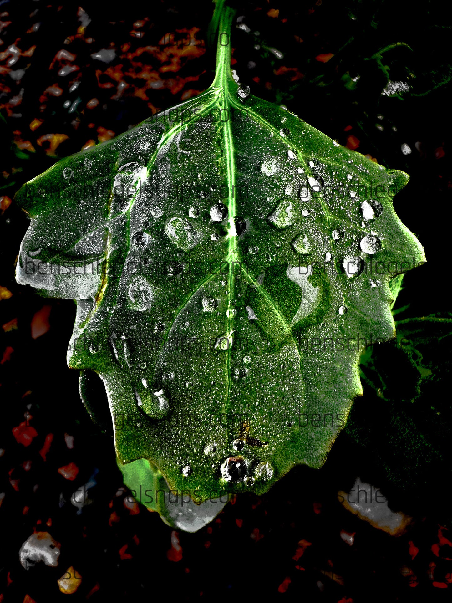 Color Bow Leaf