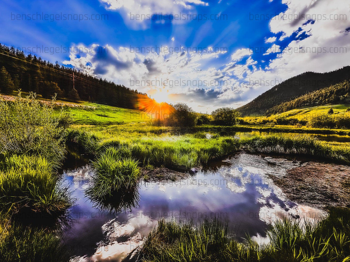 Color Sunny Pond