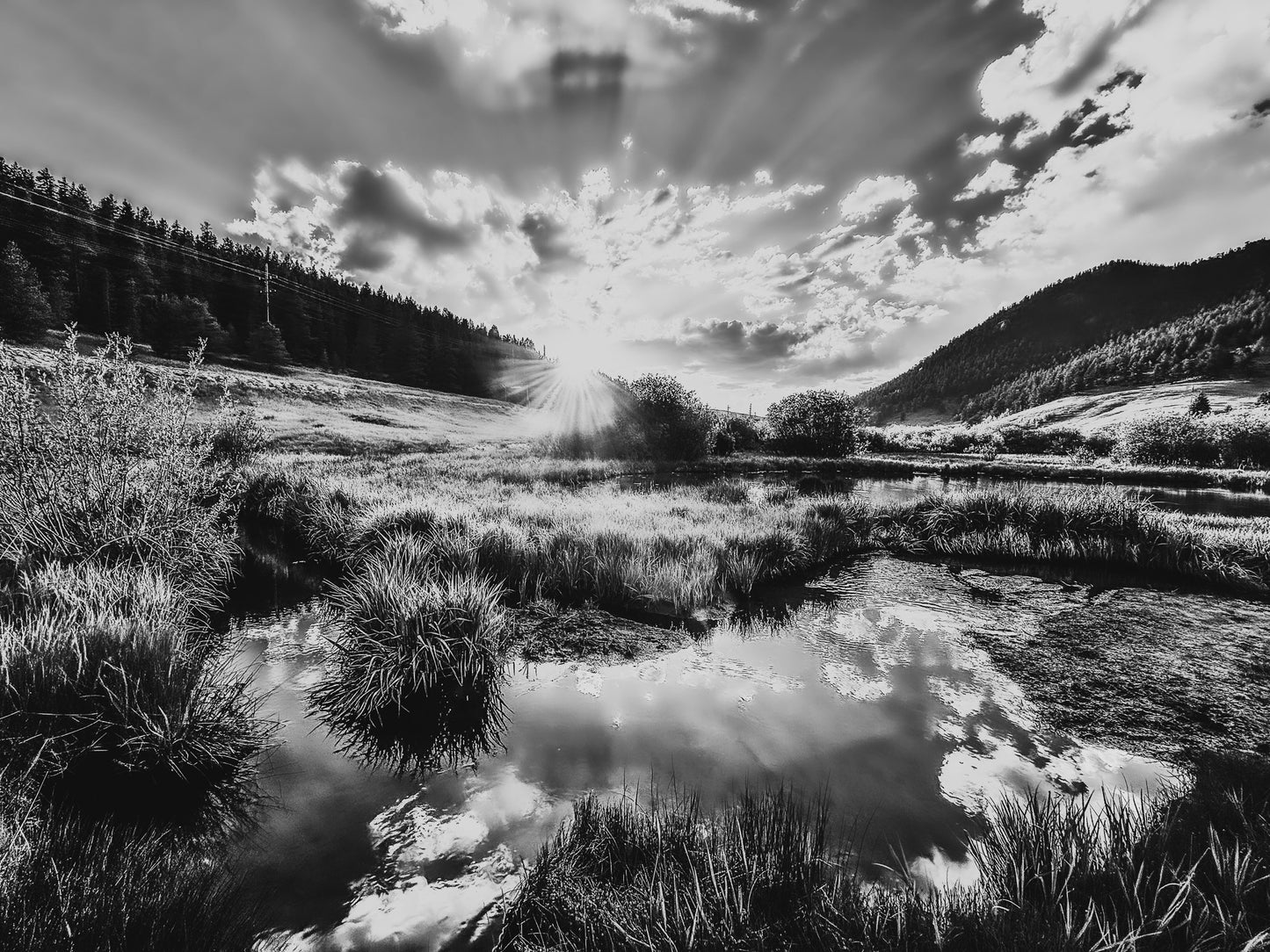 Black & White Sunny Pond