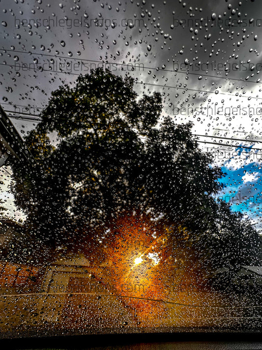 Color Sun Setting Rain