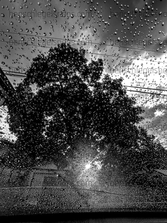 Black & White Sun Setting Rain