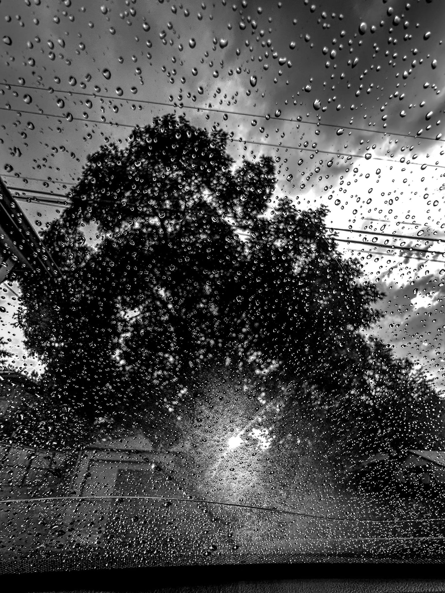 Black & White Sun Setting Rain
