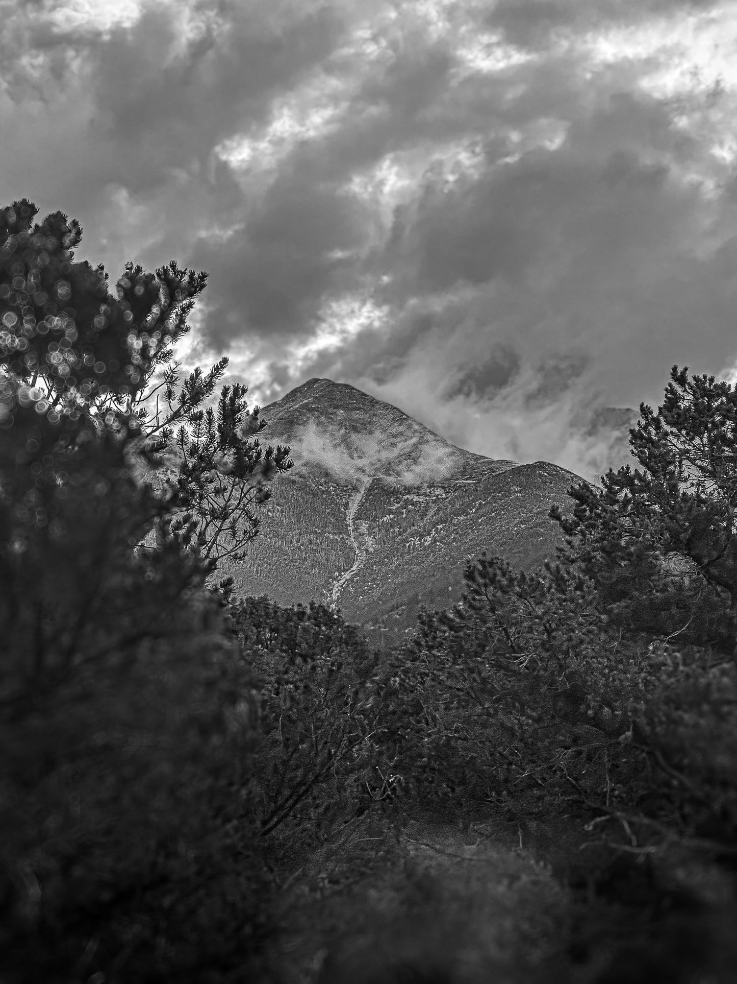 Black & White Fire Peak