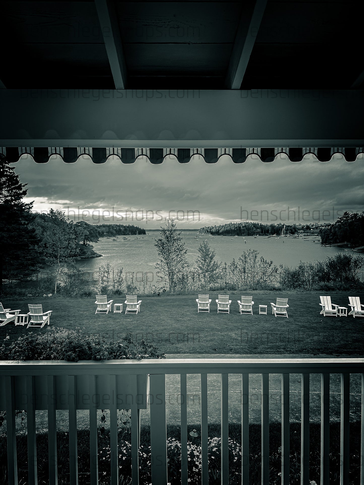 Black & White Harbor View