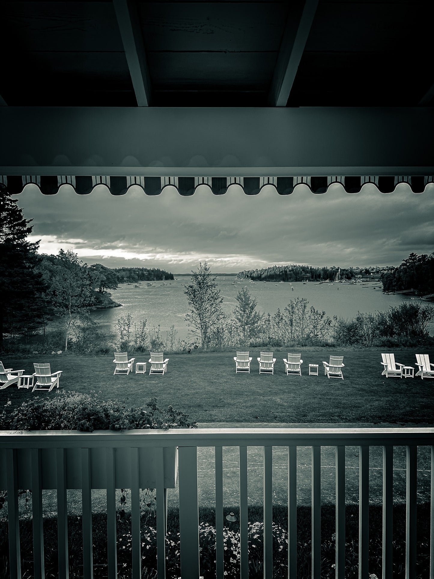Black & White Harbor View