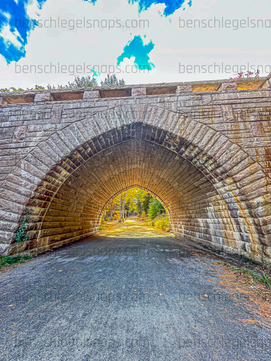 Color Acadia Bridge