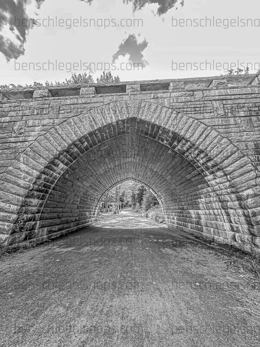 Black & White Acadia Bridge