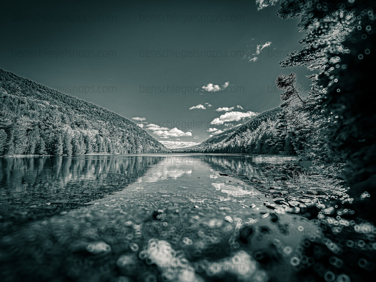 Black & White Lake Path