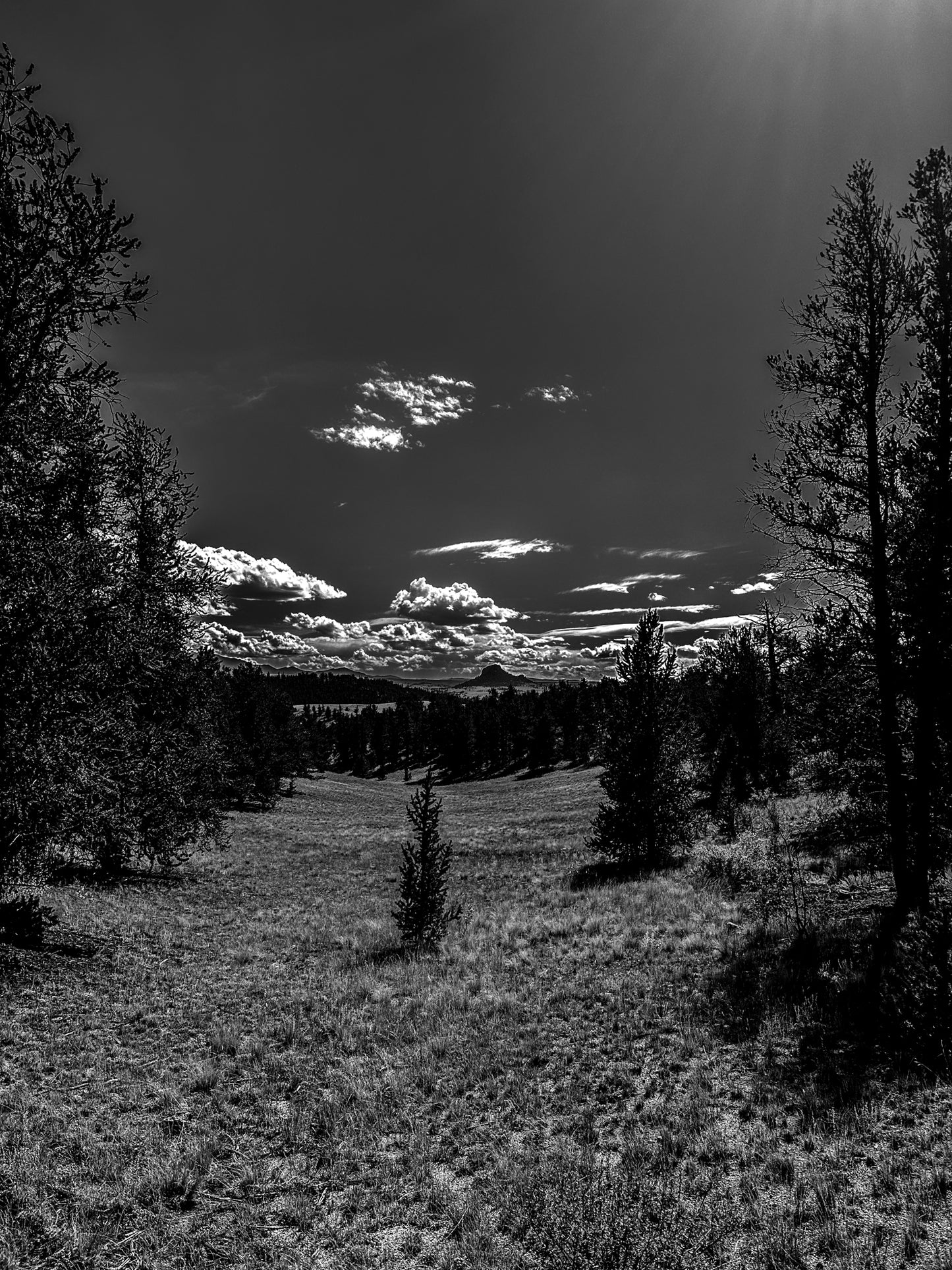 Black & White Valley paradise