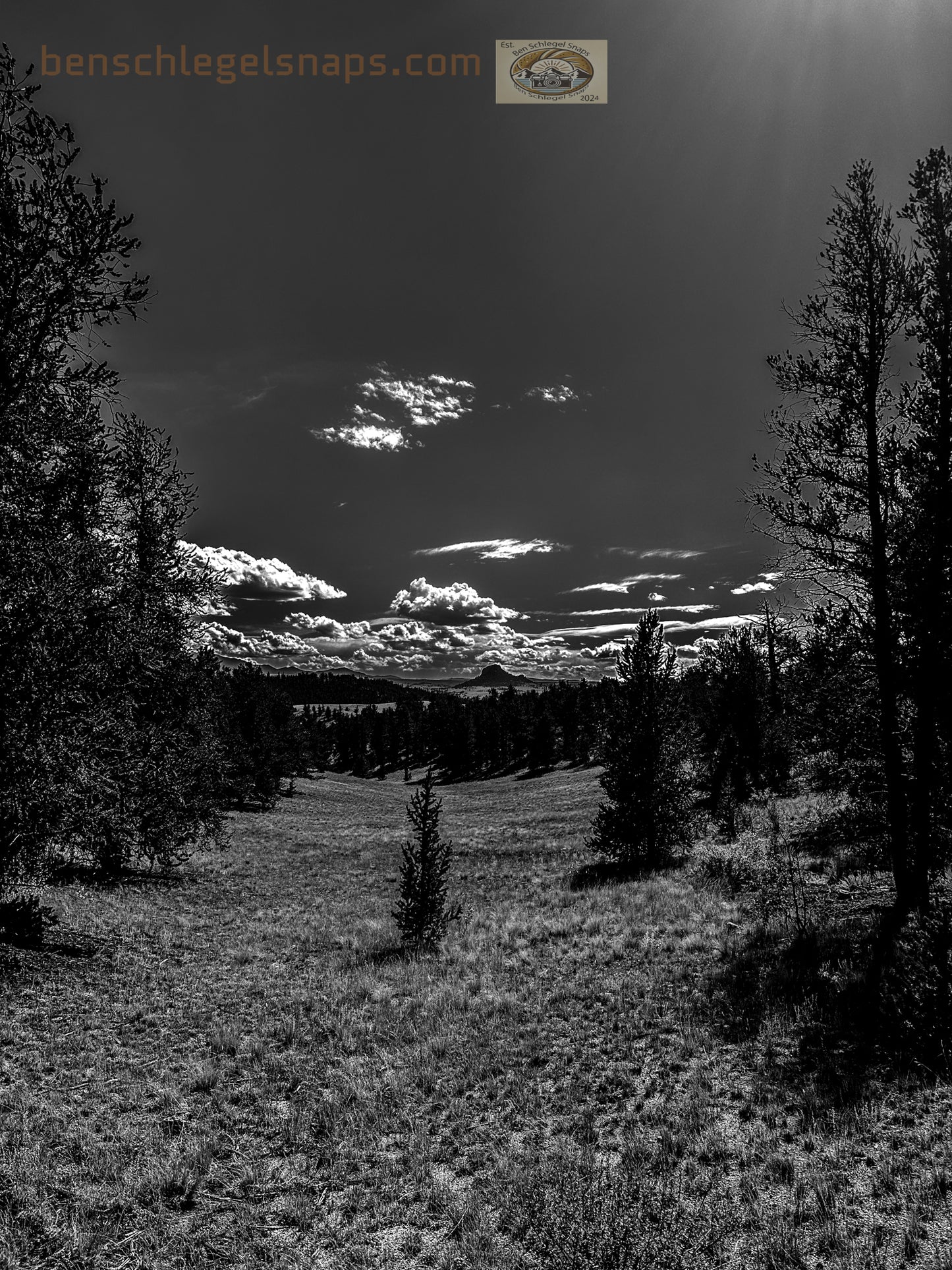 Black & White Valley paradise