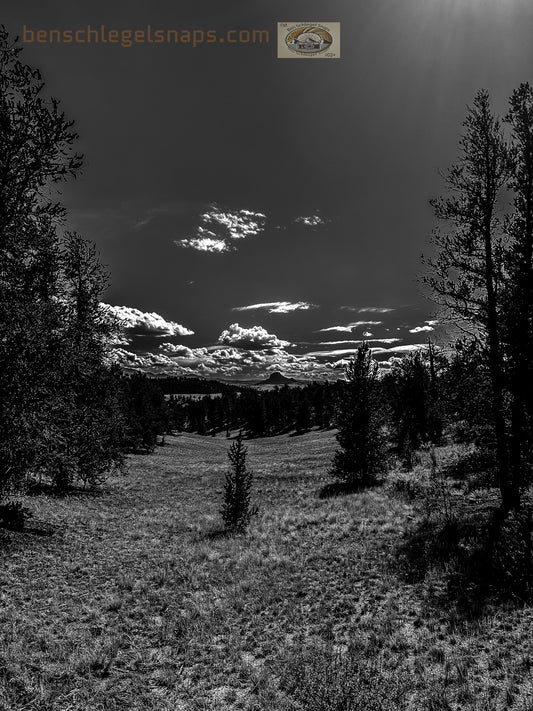 Black & White Valley paradise