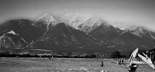 Black & White Beauty Princeton