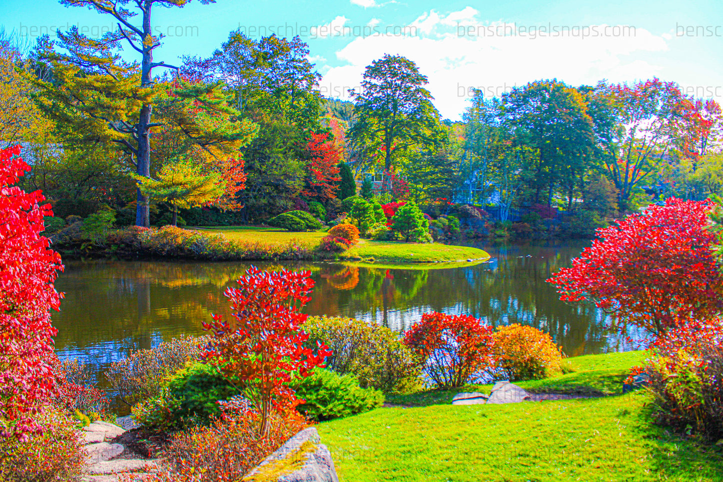 Color Tranqual Pond