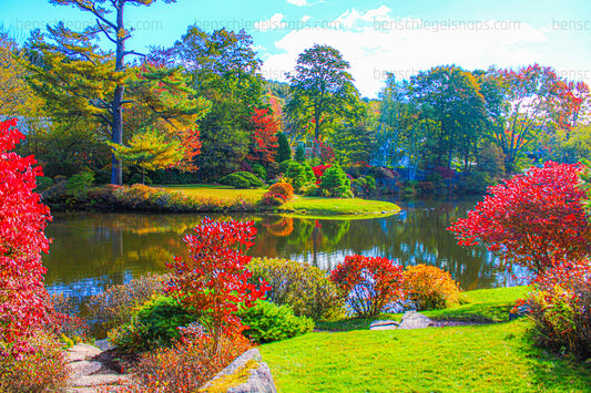 Color Tranqual Pond