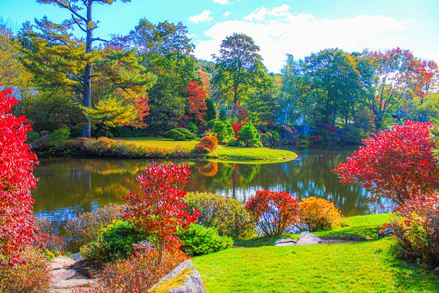 Color Tranqual Pond