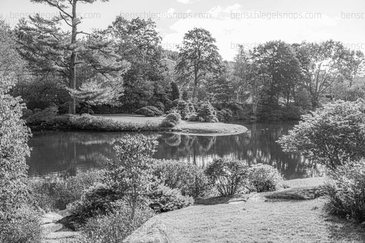 Black & White Tranqual Pond