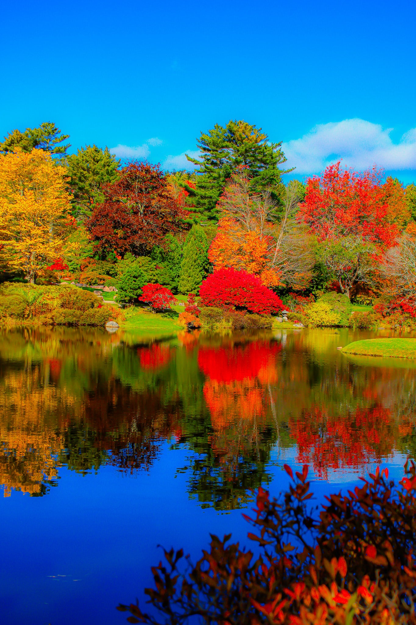 Color Garden Peace