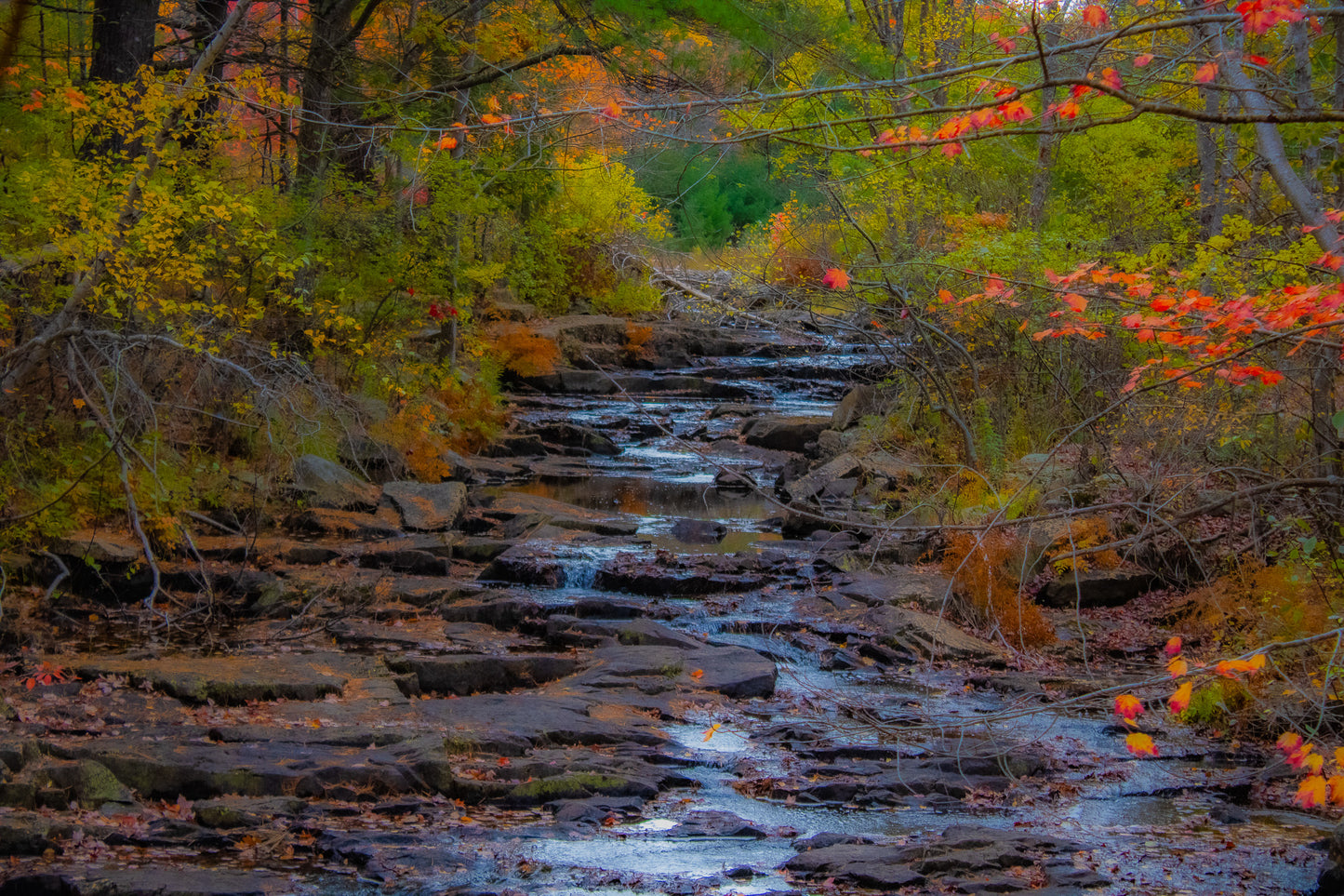 Color Falling Falls