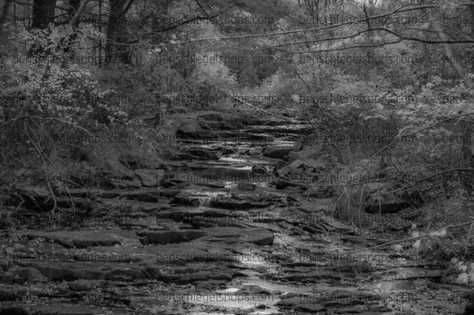 Black & White Falling Falls