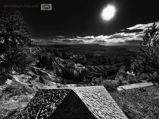 Black & White Zion View