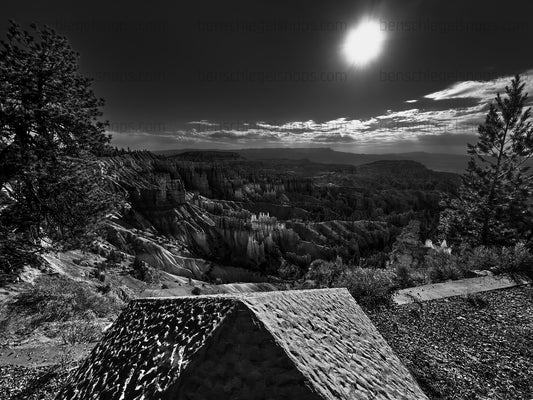 Black & White Zion View