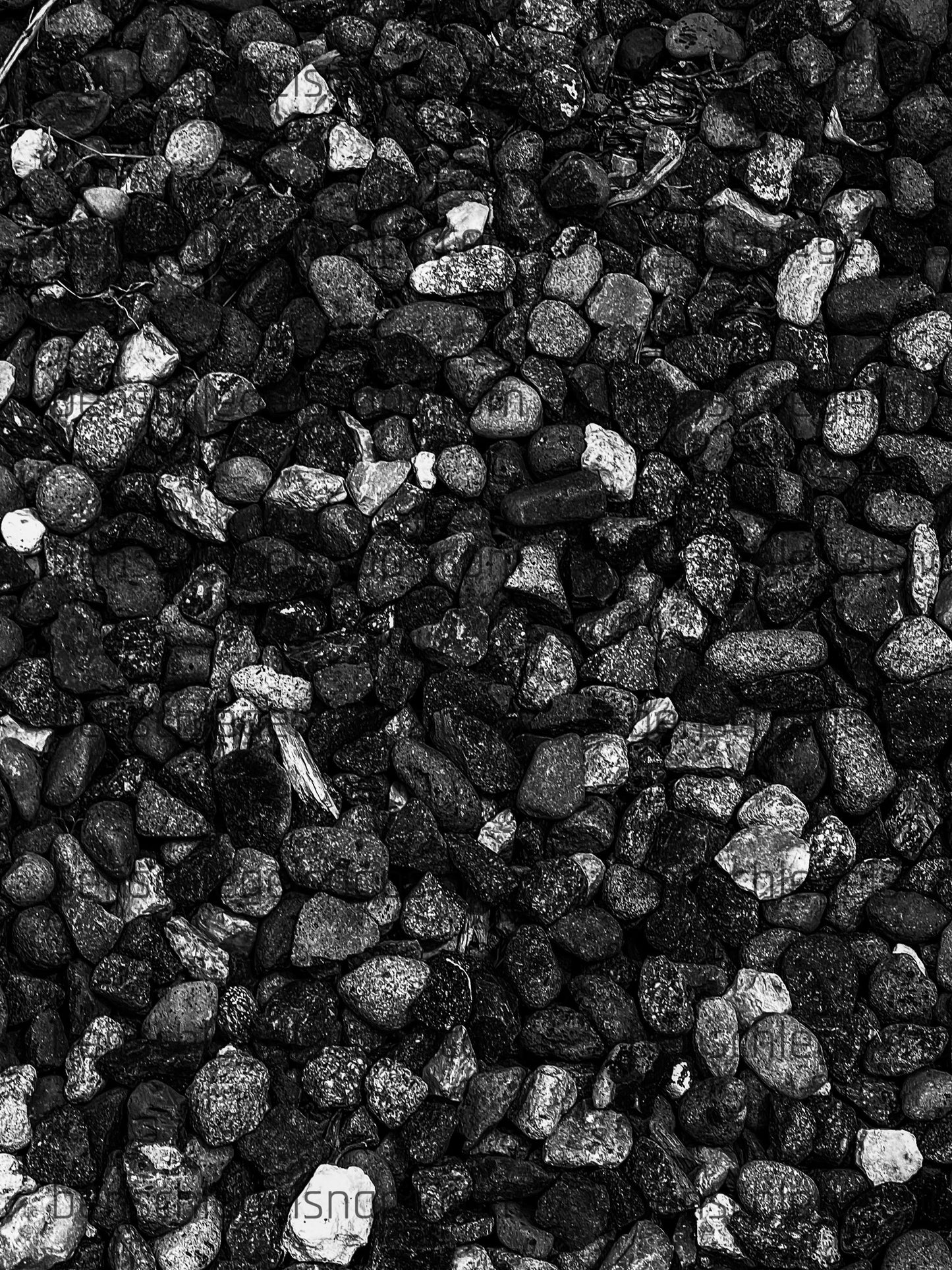 Black & White Pebbles