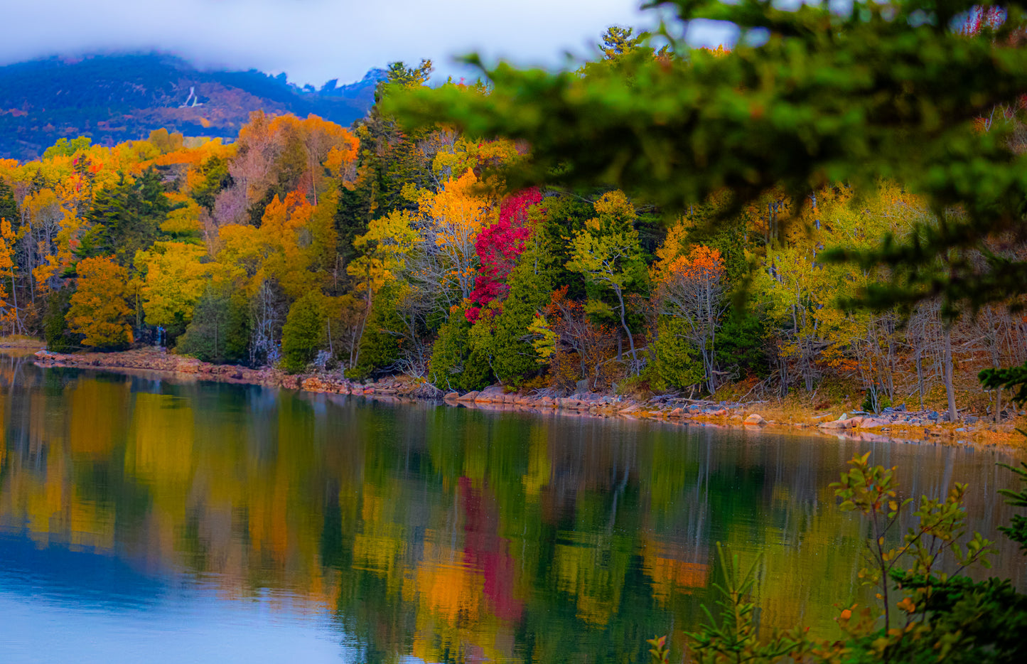 Color Lakeside Rainbow Forest