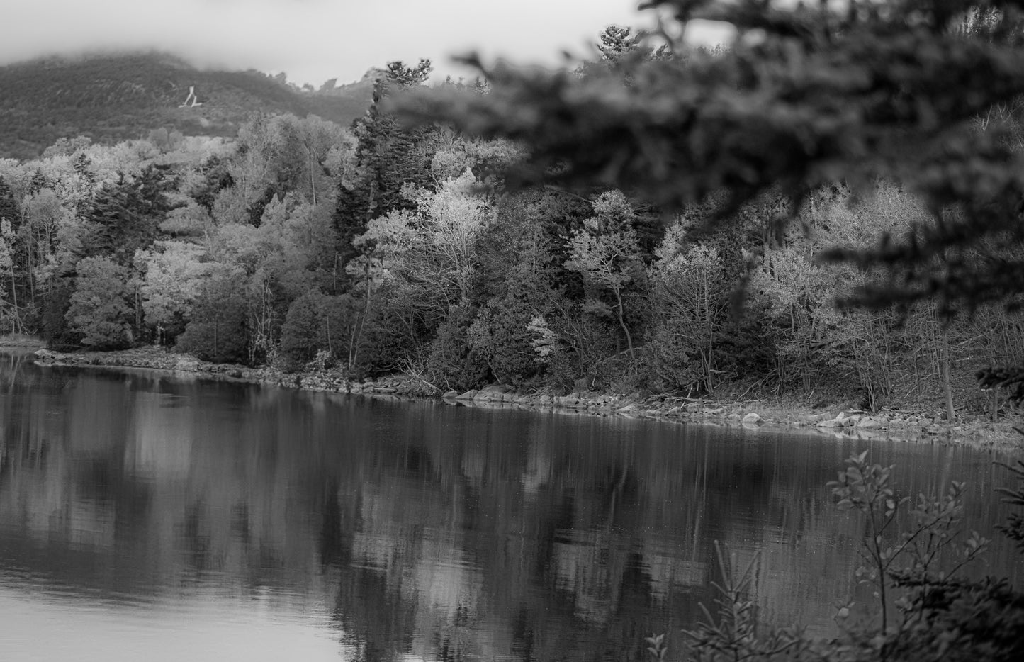 Black & White Lakeside Rainbow Forest
