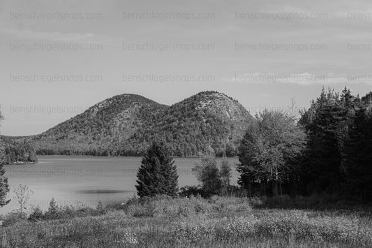 Black & Forest Duel Peaks