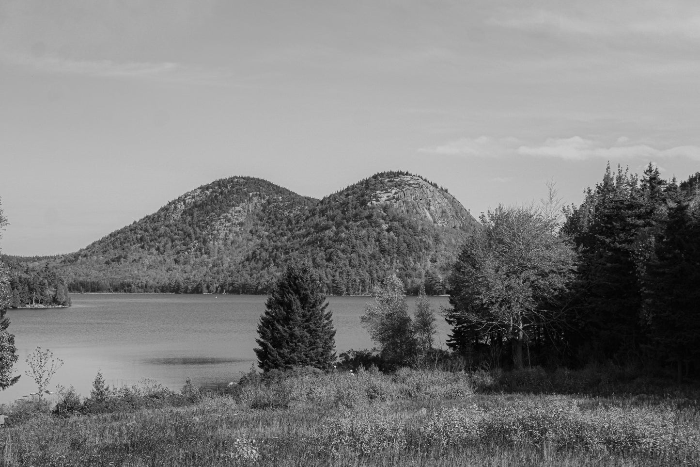 Black & Forest Duel Peaks