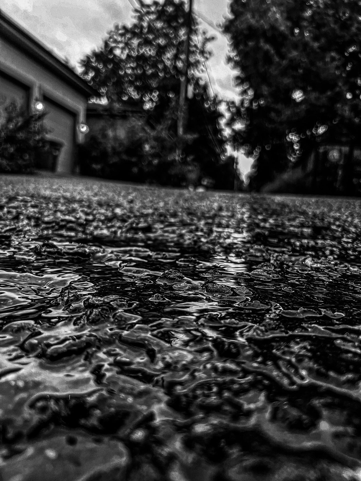 Black & White Rain Trickles