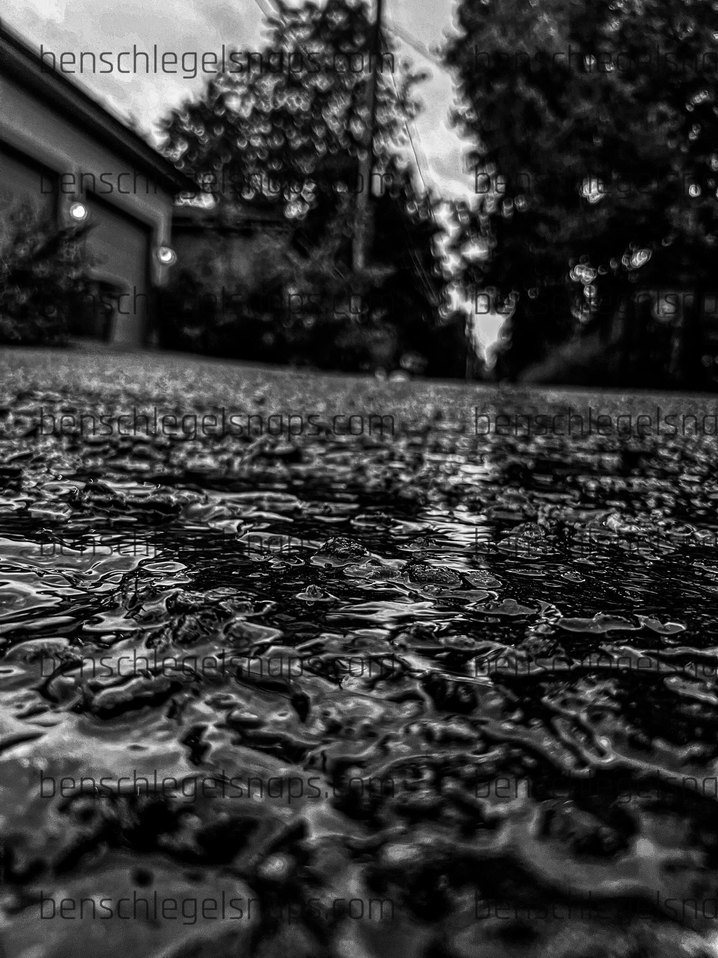 Black & White Rain Trickles