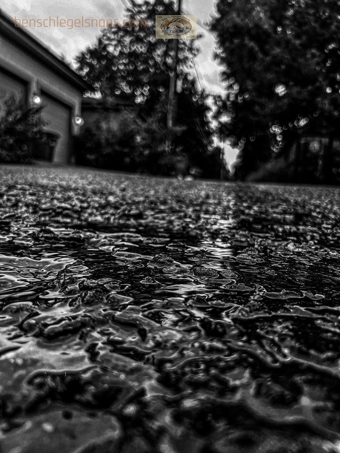 Black & White Rain Trickles