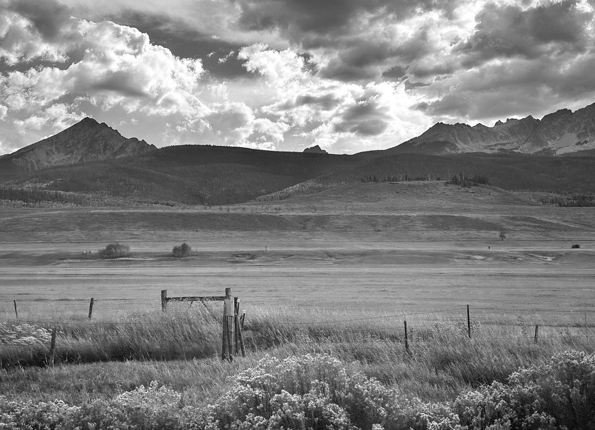 Black & White Grassy Mountain Field