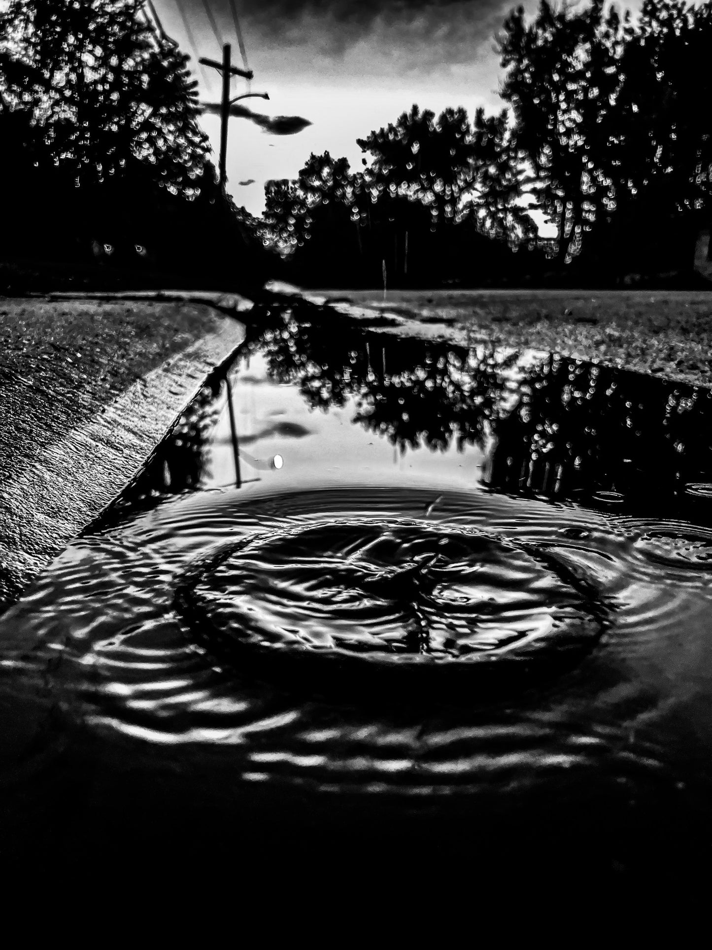 Black & White Water Ripple Sunset