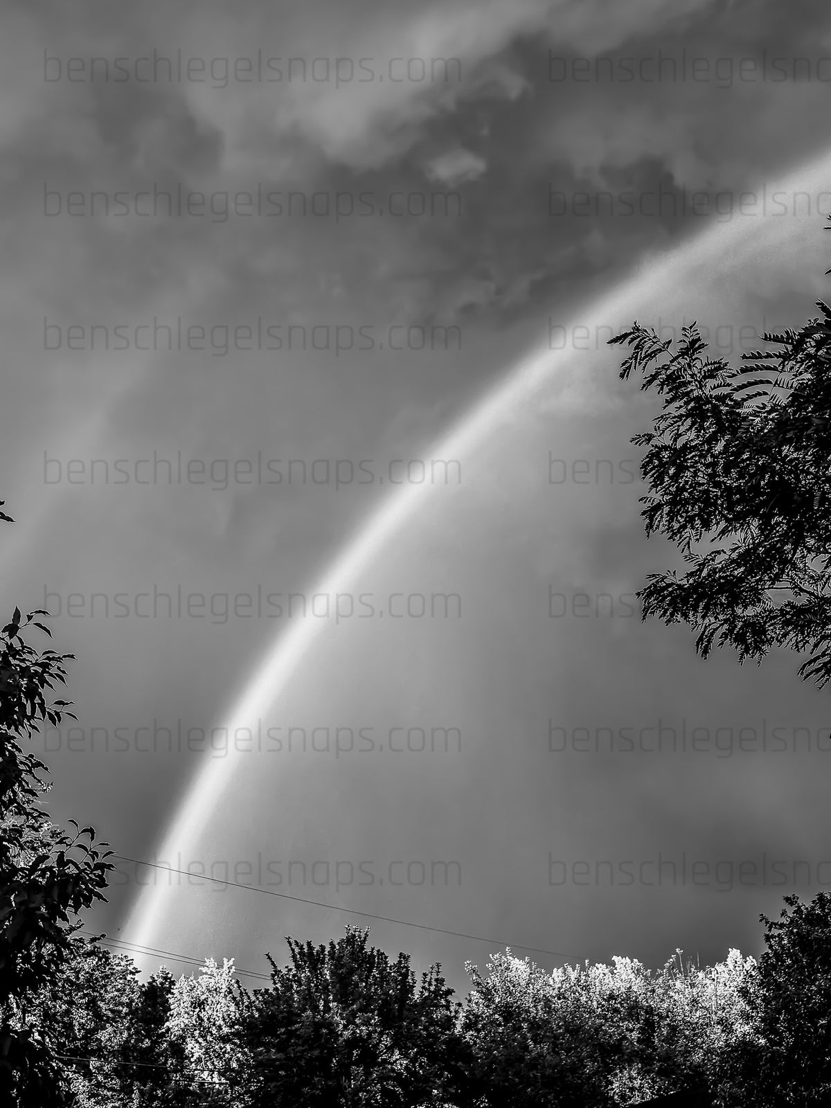 Black & White Treetop Double Rainbow