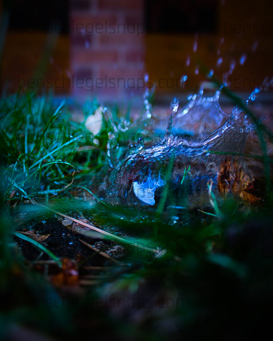 Color Lush Splash
