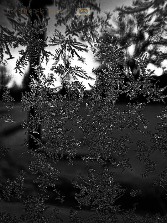 Black & White Ice Crystals