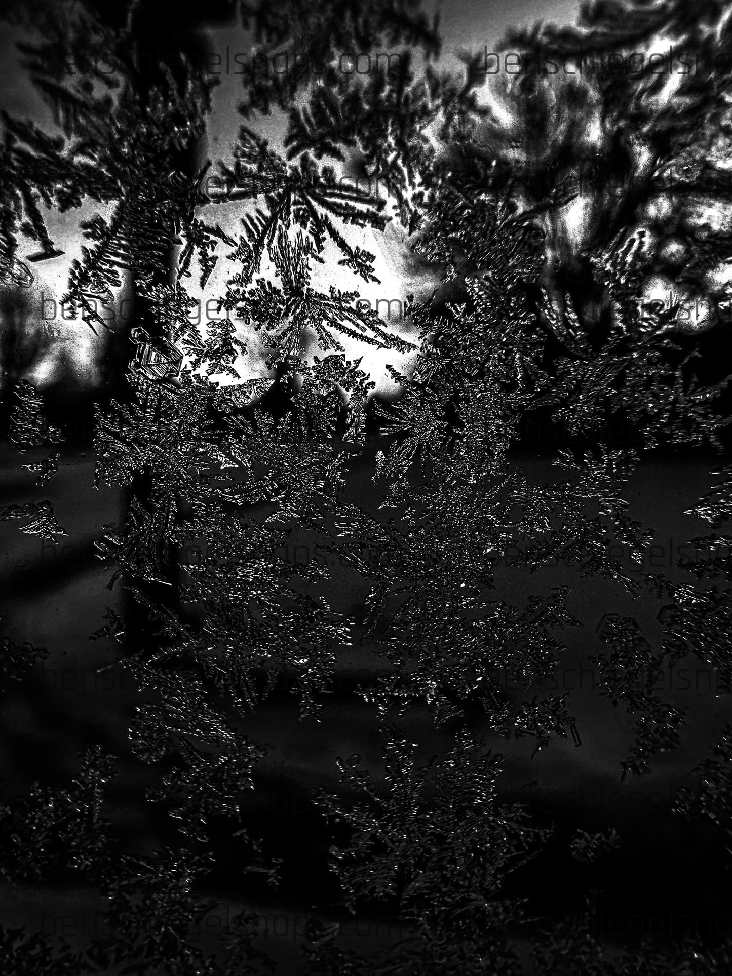 Black & White Ice Crystals