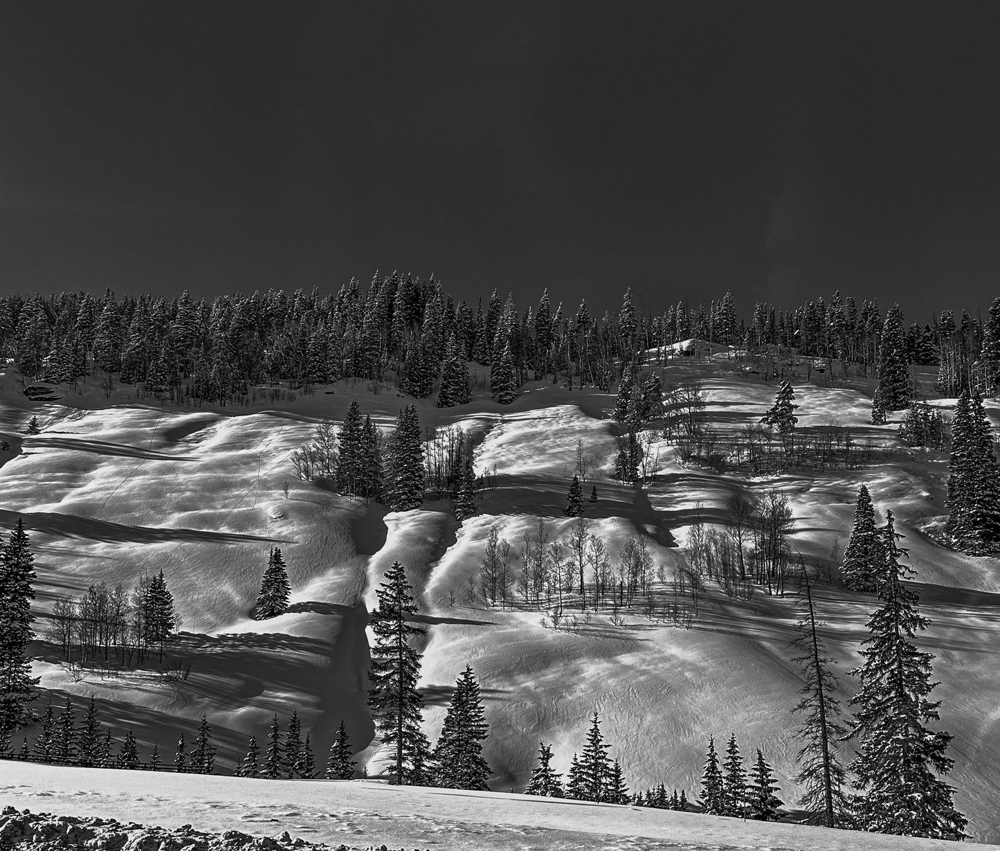 Black & white Fluffy Snow Hill