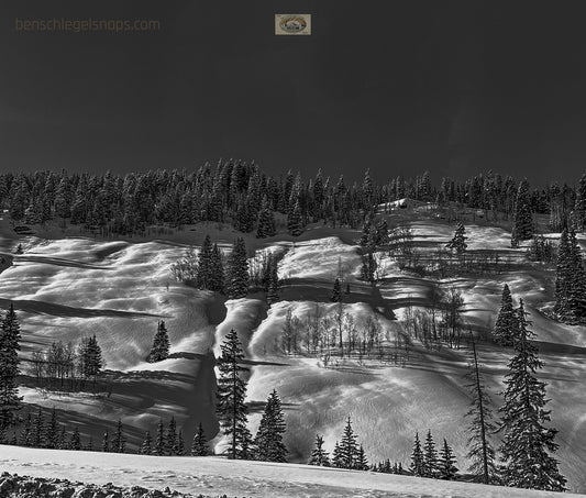 Black & white Fluffy Snow Hill