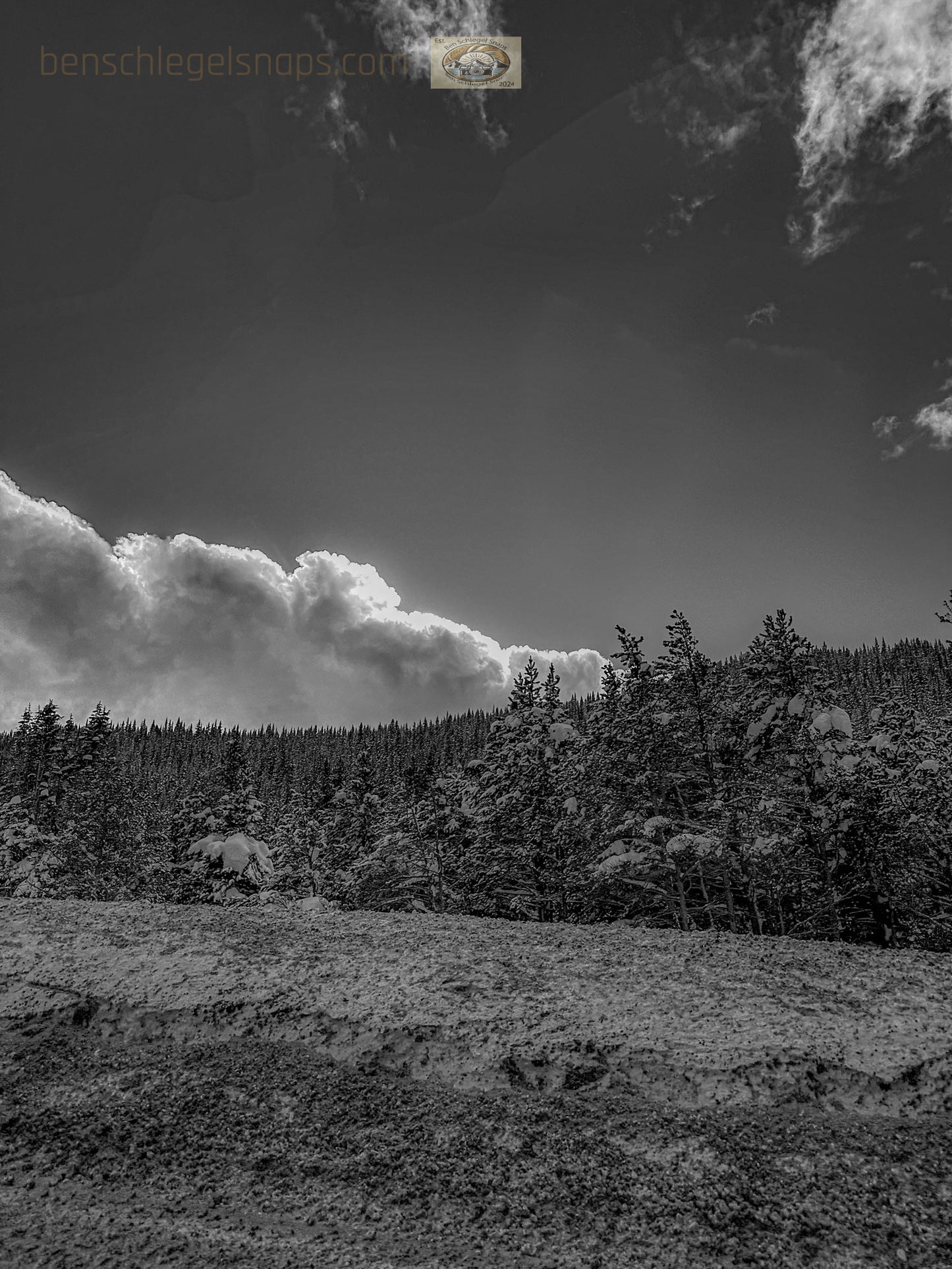 Black & White Snowy Sun Cloud