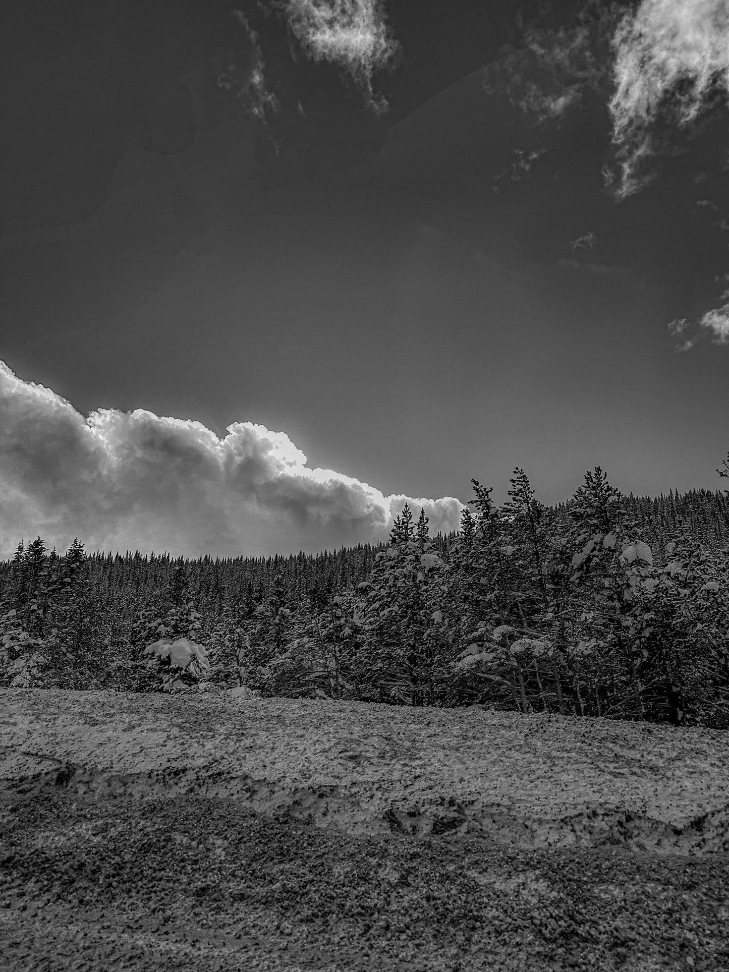 Black & White Snowy Sun Cloud