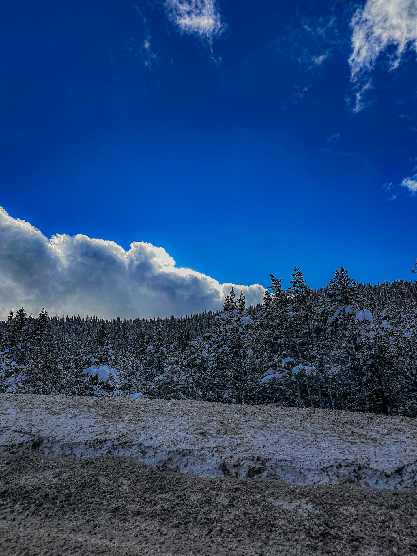 Color Snowy Sun Cloud